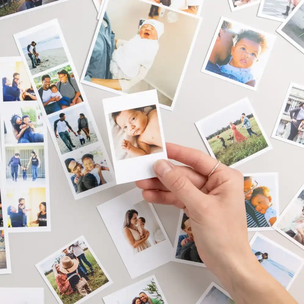 Photos